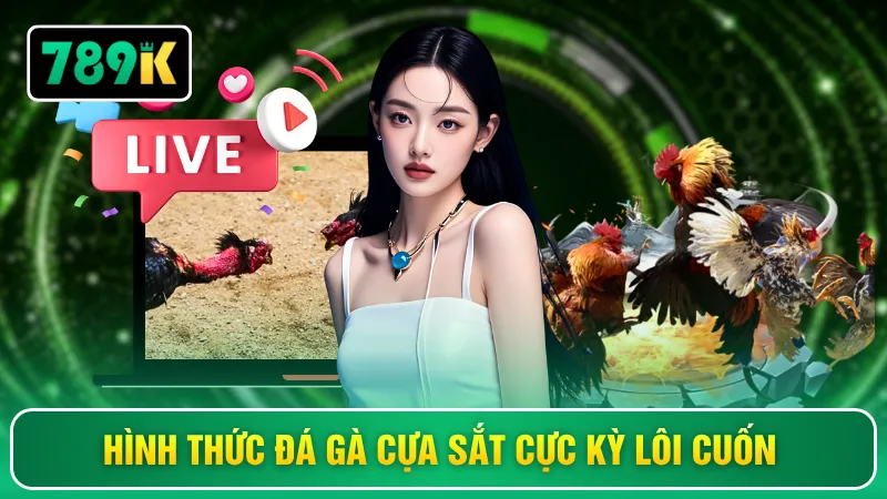 Hình thức đá gà cựa sắt cực kỳ lôi cuốn
