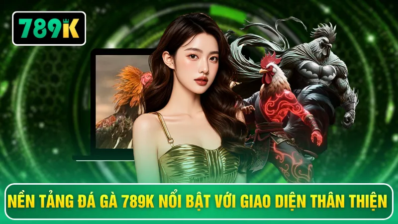 Nền tảng đá gà 789K nổi bật với giao diện thân thiện