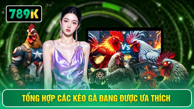 Tổng hợp các kèo gà đang được ưa thích